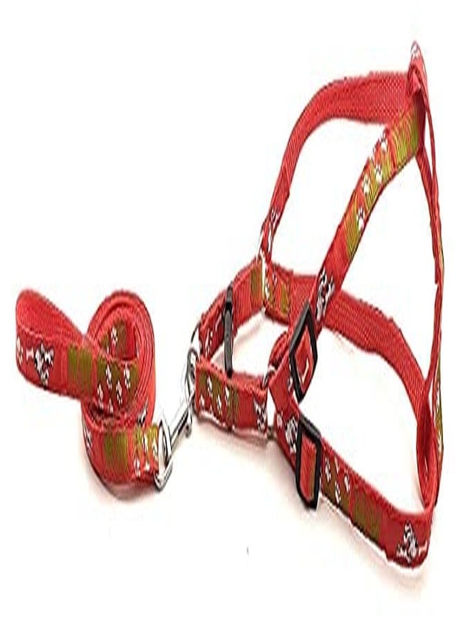 Pups&Pets Pet 15 MM Adjustable Leash with Harness Set with Puppy Printed Nylon Harness for Small & Medium Dogs (Red) - Image 2